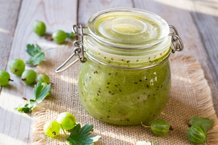20 Recetas Insuperables con Grosella Espinosa