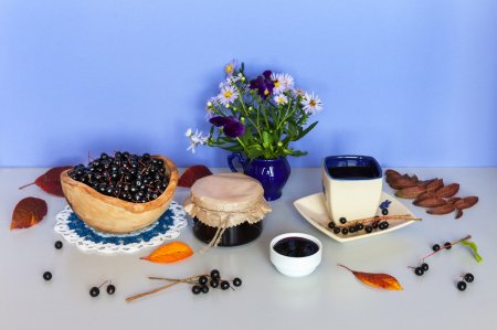 15 maravillosas recetas de cereza de pájaro para el invierno