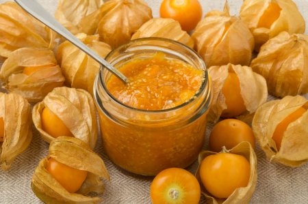 Physalis for Winter: 12 Recipes Every Hostess Can Master