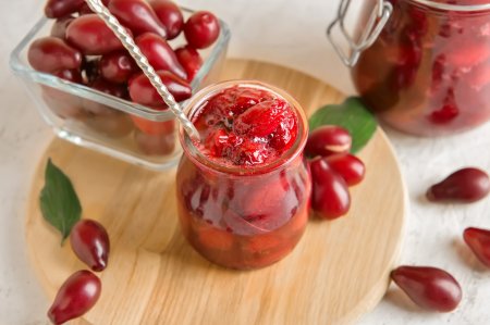 20 recetas deliciosas de cornejo para el invierno