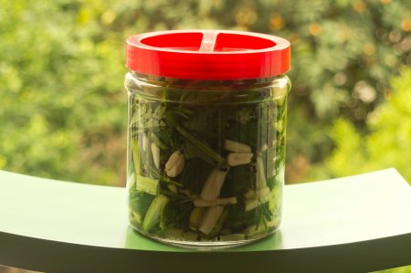 Apio para el invierno: 15 excelentes recetas y métodos de preparación