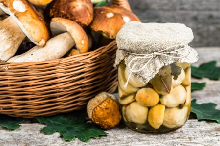 Aspen Boletes for Winter: 8 Delicious and Original Recipes