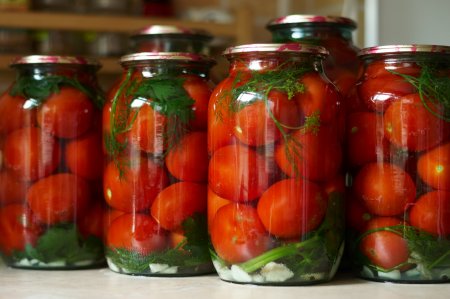 Tomatoes with Celery for Winter: 12 Easy and Quick Recipes