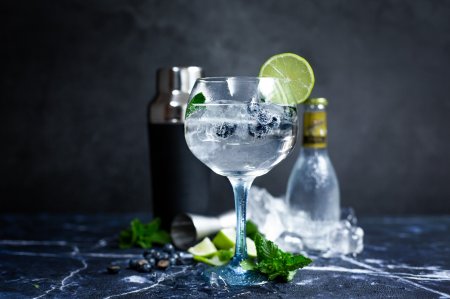 What to Drink Gin With: Choosing Snacks and Mixers
