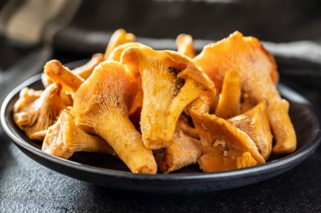6 Easy Recipes for Freezing Chanterelles for Winter