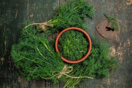 Cómo congelar eneldo para el invierno: 10 recetas fáciles y rápidas