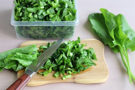 6 Easy Recipes for Freezing Sorrel for Winter