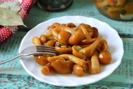 Cómo y cuánto cocer setas de miel: secretos de preparación