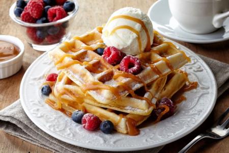 Viennese Waffles in an Electric Waffle Maker: 12 Quick and Delicious Recipes